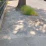 biologisch gebundene Beläge