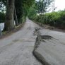 Piste cyclable et sentier pédestre DurEko-mix® BIO à Bad Zwischenahn