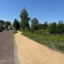 Wassergebundene Wegedecke im Sportpark Couwenhoek mit KoMex BIO Gelb am Anna-Marie-van-Capellen-Park