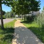Wassergebundene Wegedecke im Sportpark Couwenhoek mit KoMex BIO Gelb am Anna-Marie-van-Capellen-Park