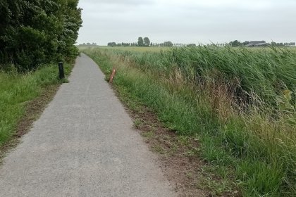 IMG_20250624_144238748_MFNR