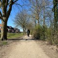 halfverharding zevenbergen