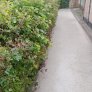Wanderwege KoTRec BIO Naturel De Groene Flach