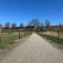 Wanderweg KoMex Bio Naturel wassergebundene wegedecke Klundert Gemeinde Moerdijk