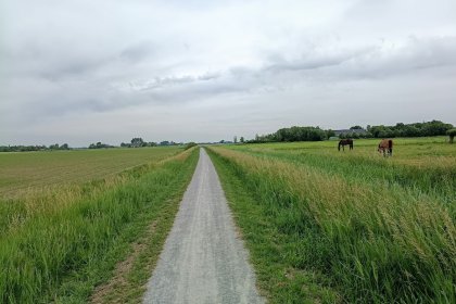 Neuer Wanderweg zum ehemaligen Friedhof von Onderwierum mit DurEko-Mix